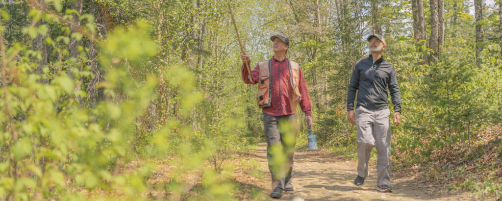 Forest Management Overhaul: USFS Shuts Regional Hubs