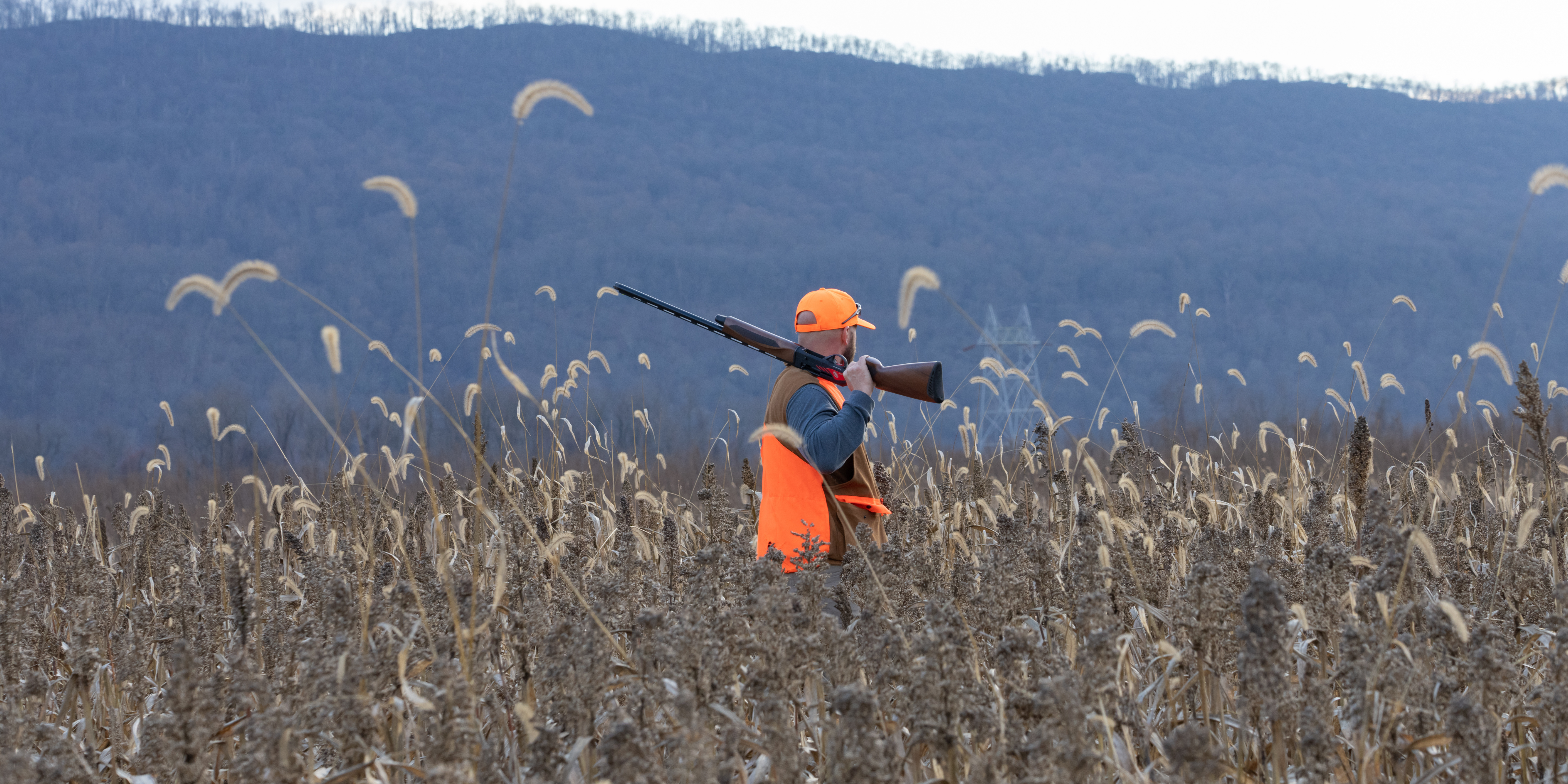 Why Private Land Hunting Access Is Vanishing