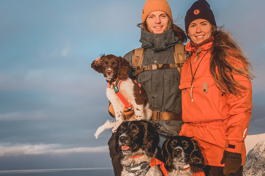 Dog Hiking Safety: The Ultimate Guide & Gear List from an SAR Expert