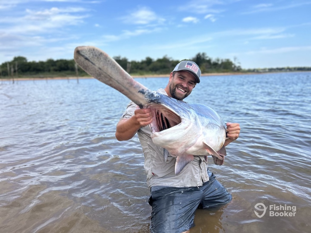 An angler in shallow water holding a large paddlefish with a prominent rostrum.