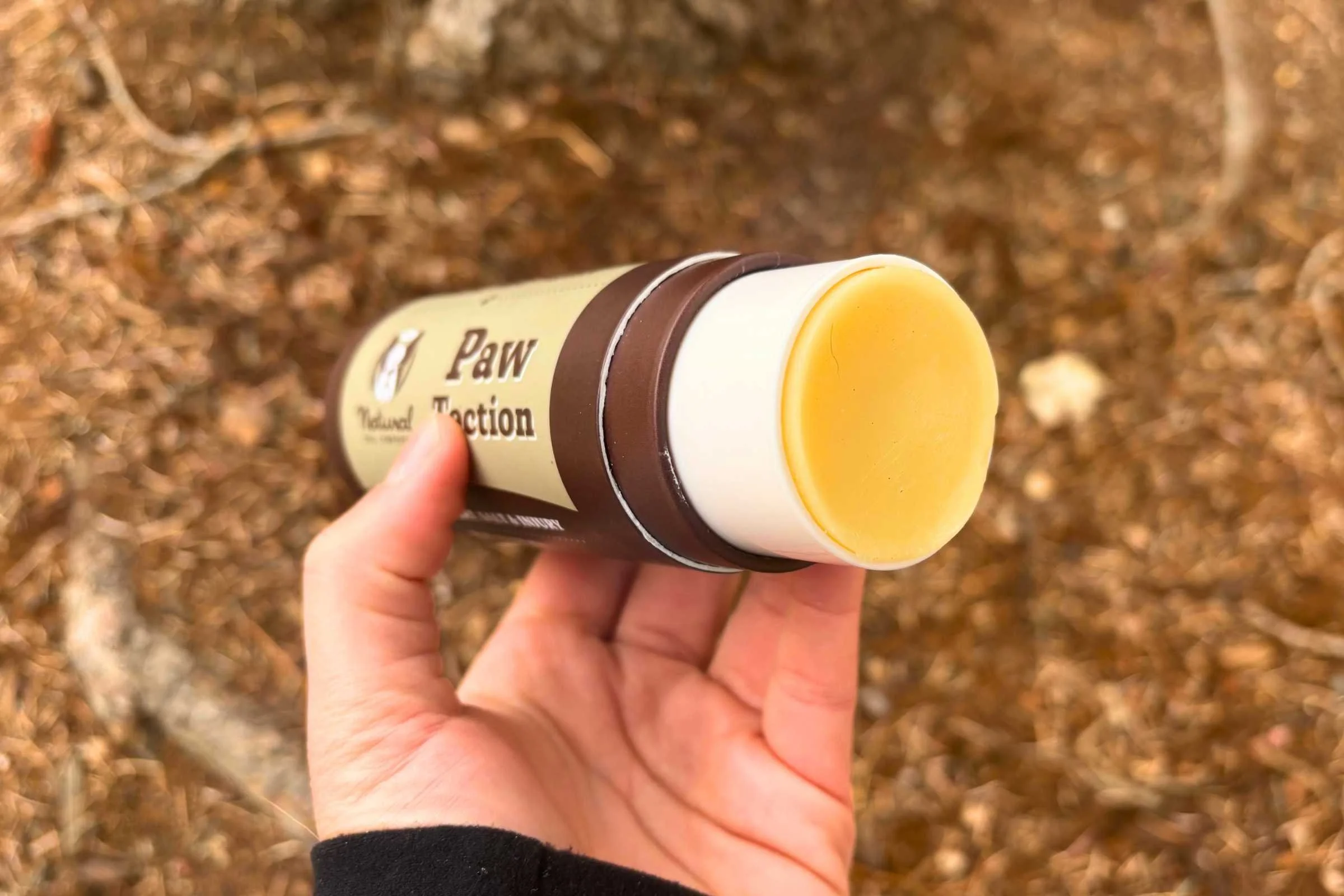 Close-up of the thick, waxy texture of dog paw balm in a container.
