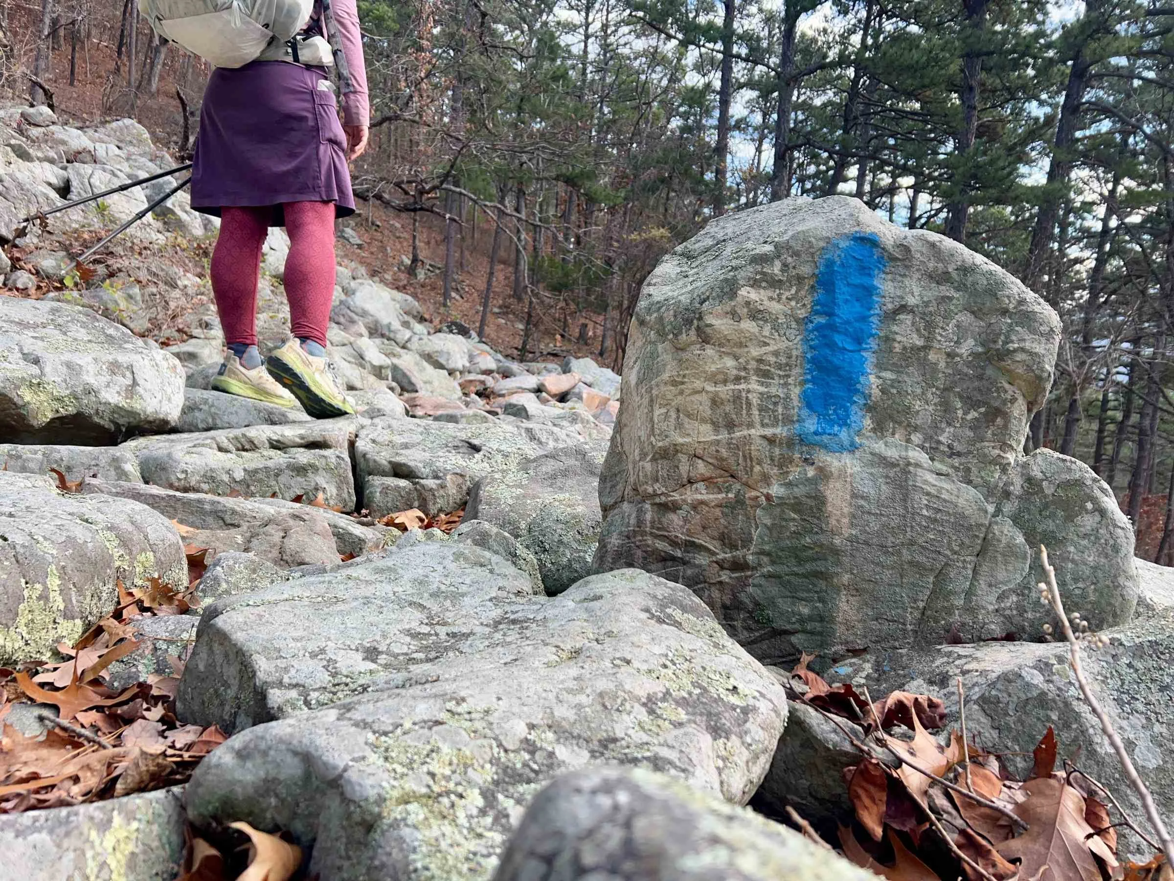 Thru-hiker's feet wearing Altra Timp 6 shoes on a forest trail.