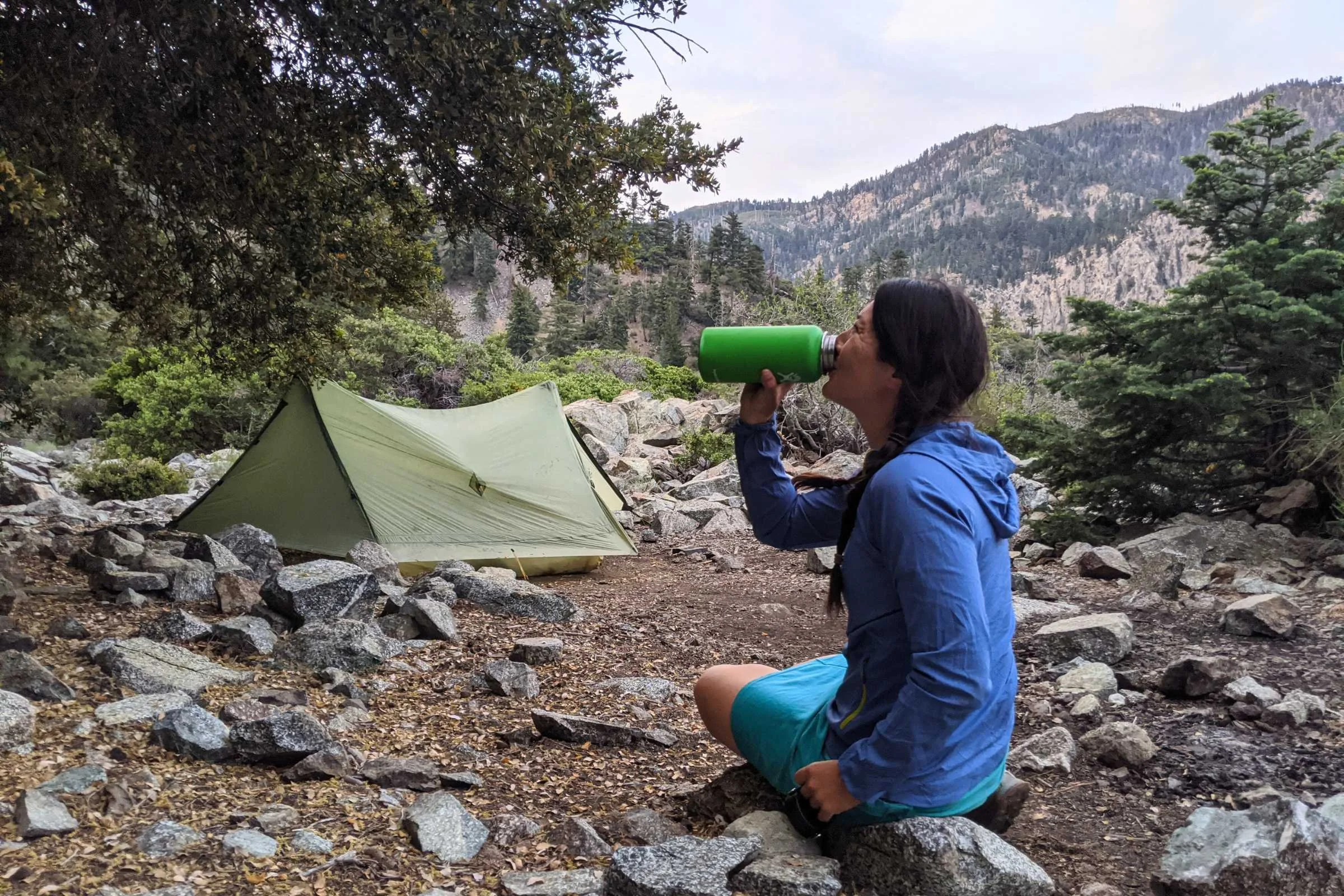 A Hydro Flask insulated bottle sitting on a wooden log at a campsite.