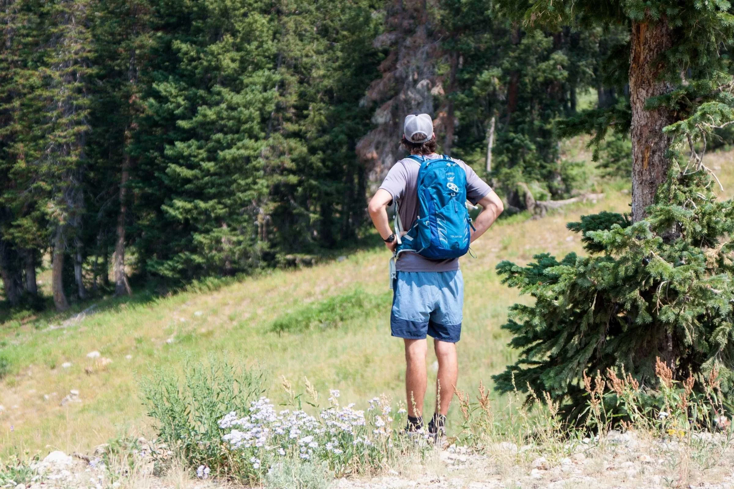 Close-up of the Osprey Talon backpack's padded hipbelt.