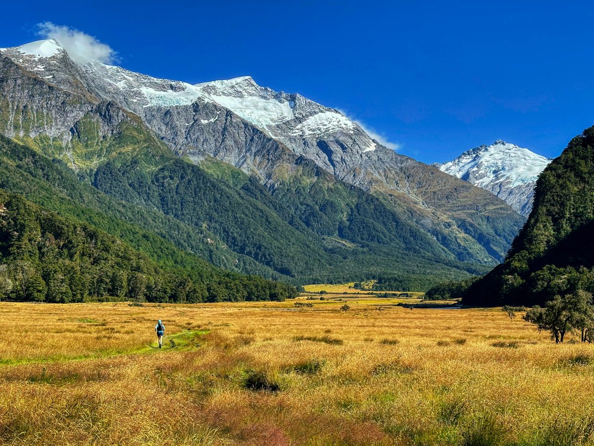 Professional trail runner testing shoes in the Matukituki Valley of New Zealand.