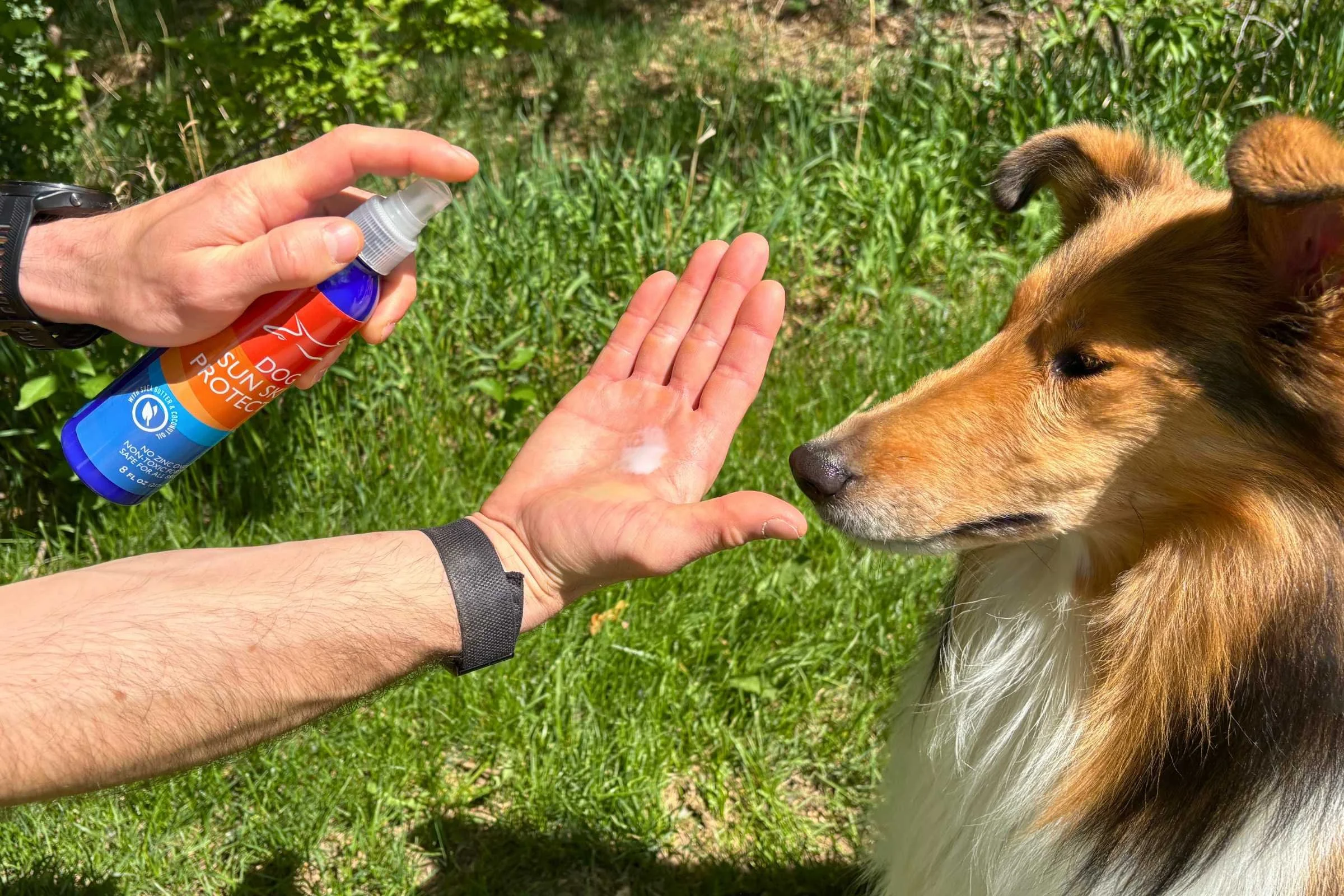 A hand holding a spray bottle that is dripping slightly at the nozzle.