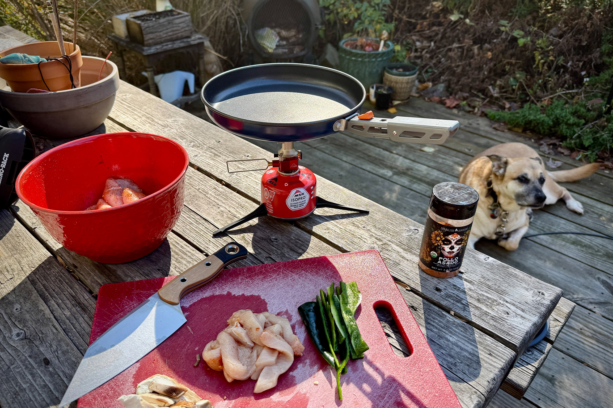 MSR Switch Review: Why This Versatile Stove Is Essential for Master Camp Cooking