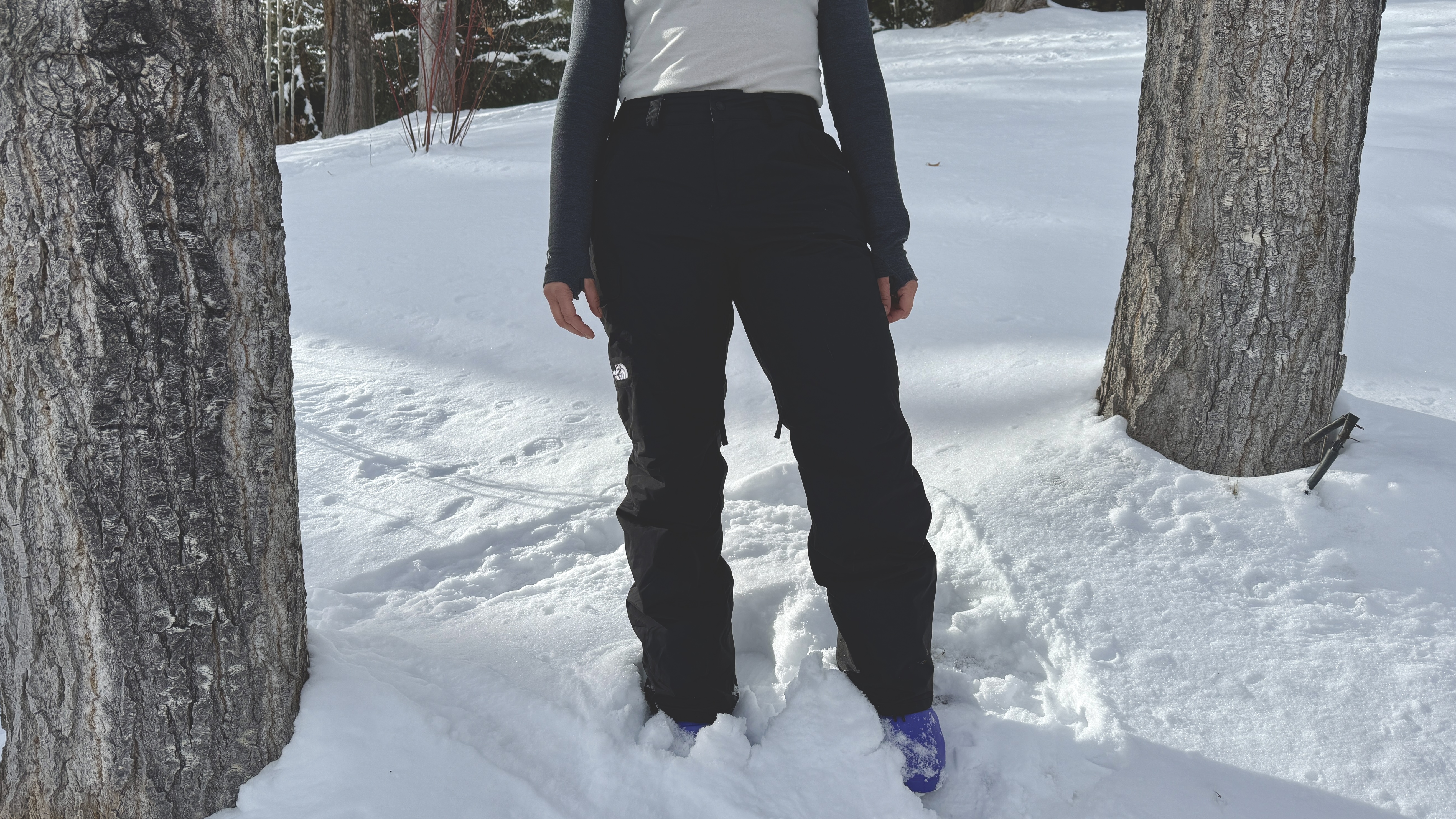 The North Face Freedom Review: The Best Budget Ski Pants for 2026?