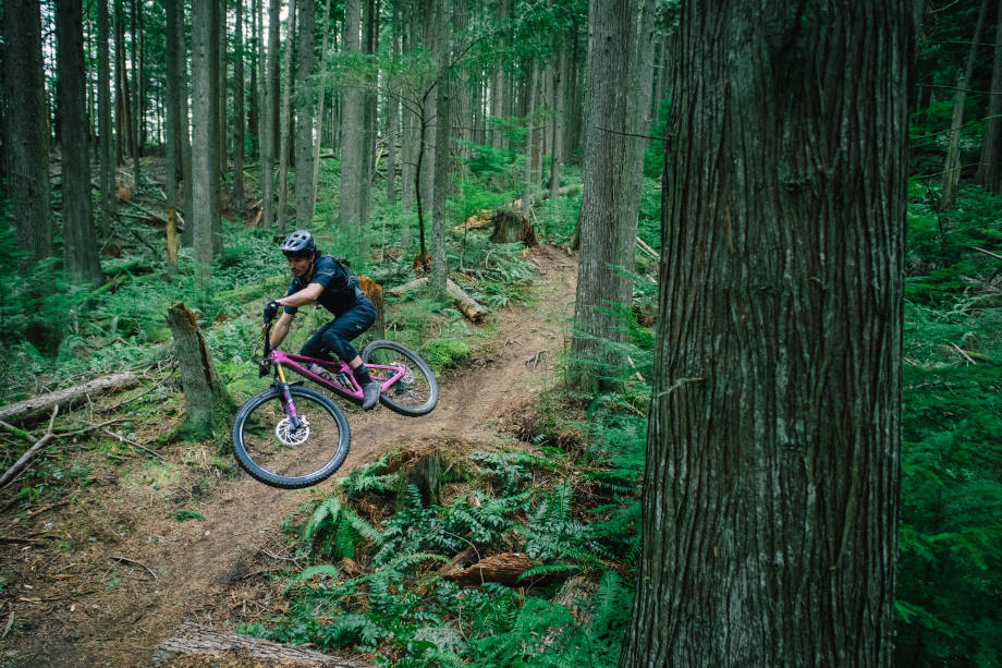A mountain biker riding through a dense redwood forest trail
