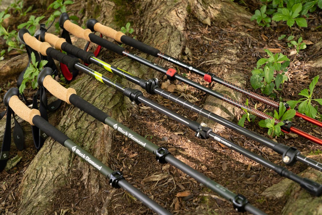 A large collection of various Black Diamond trekking poles leaning against a tree in a forest.